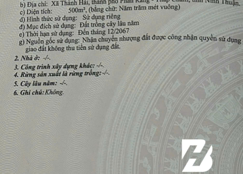 ĐẤT ĐẸP THÀNH HẢI – 1000m² đất CLN tại Thành Hải