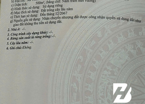 ĐẤT ĐẸP THÀNH HẢI – 1000m² đất CLN tại Thành Hải